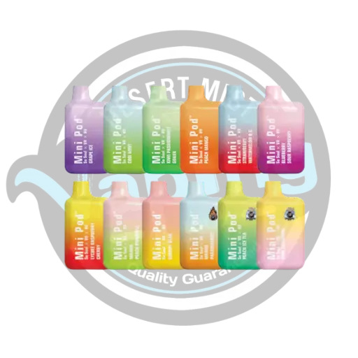 SOSOUL | Mini Pod 1000 Puff 5%